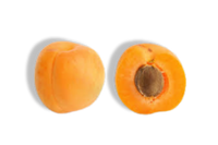 Apricot