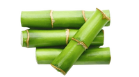 Bambusa Vulgaris Water