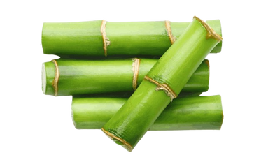 Bambusa Vulgaris Water