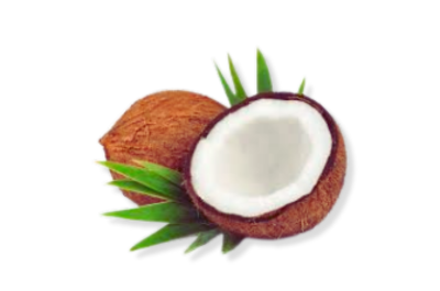 Caprylic Capric Triglyceride