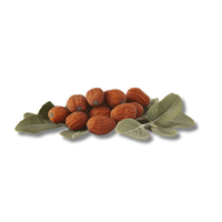 Jojoba Seed Oil