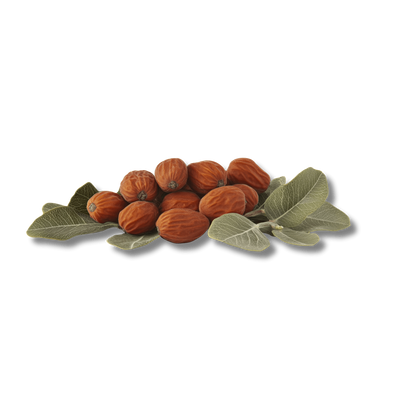 Jojoba Seed Oil