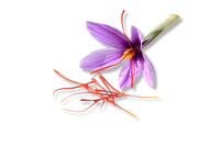 Saffron