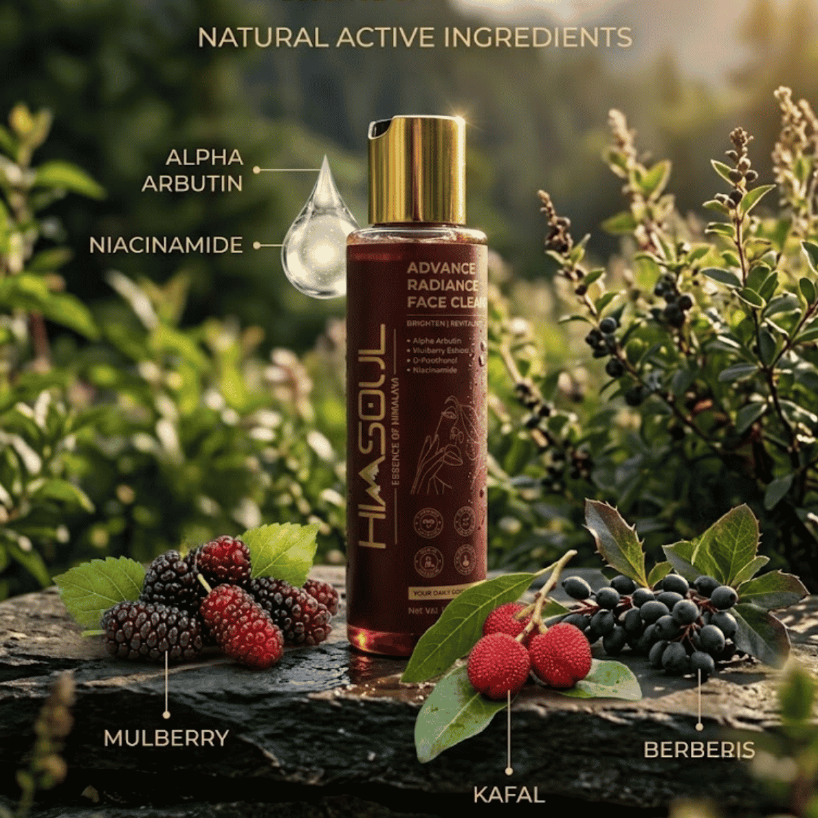 Himsoul face wash key natural active ingredients breakdown including Mulberry, Kafal, Berberis, Alpha Arbutin, and Niacinamide for even skin tone and pigmentation reduction.