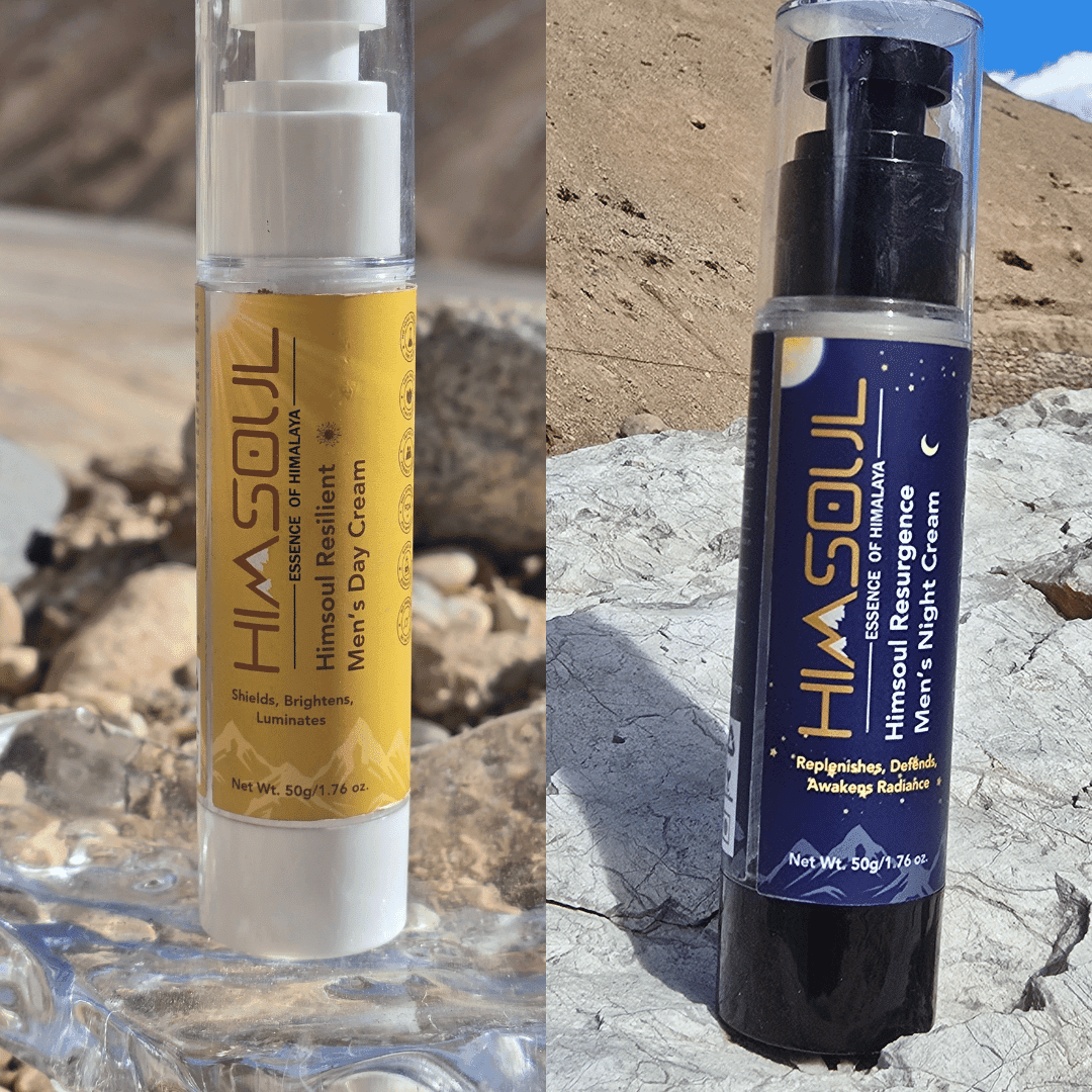 Himsoul Resilience & Resurgence Duo - Himsoul Enterprises