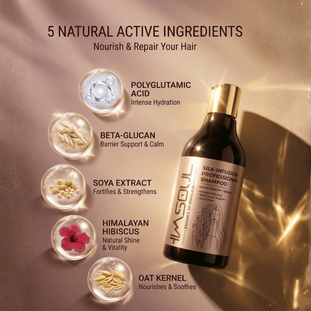 Visual infographic of Himsoul Silk-Infusion Shampoo active ingredients showing Polyglutamic Acid, Beta-Glucan, Soya Extract, Himalayan Hibiscus, and Oat Kernel for hair strength and shine